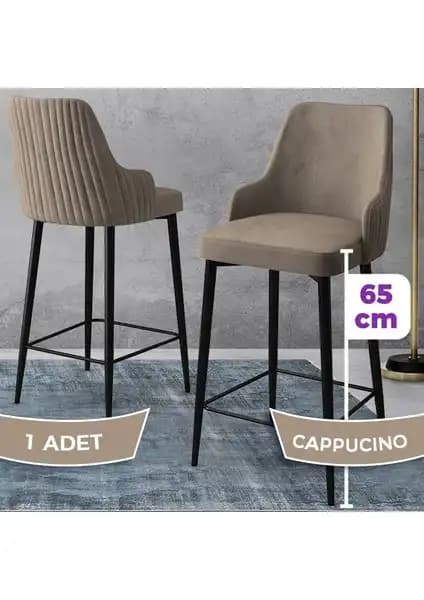 Canisa Concept Atex ve Tera Serisi Bar Sandalyeleri Karşılaştırması 2