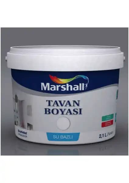 Marshall ve Polisan Tavan Boyası Karşılaştırması: İç Mekanlar İçin En İyi Seçenekler 1