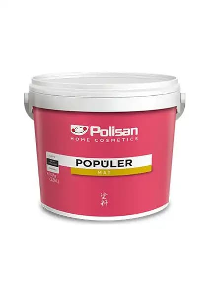 Polisan Elegans Extra ile Polisan Popüler Plastik Mat Boya Karşılaştırması ve Kullanım Rehberi 2