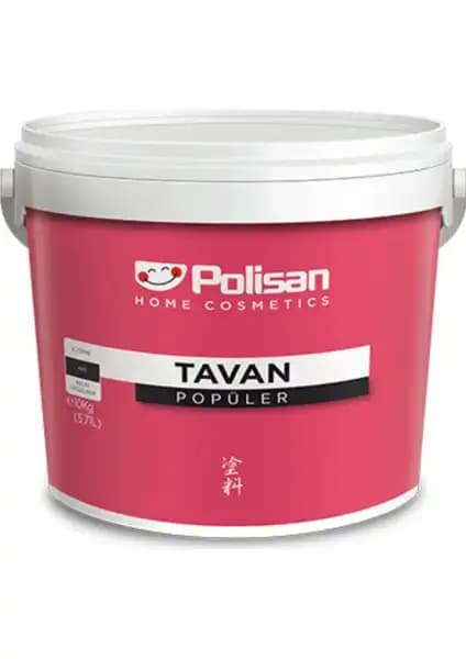 Polisan Popüler ve Tempo Filli Boya Karşılaştırması İç Mekan Tavan Boyaları 1