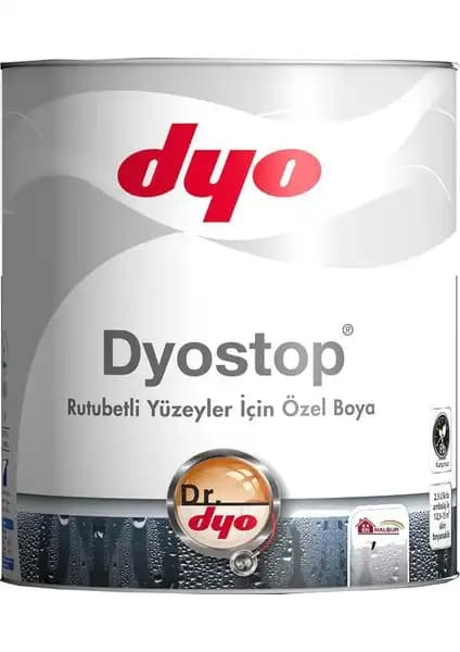 Rutubet ve Nem Sorunlarına Çözüm Sunan Boya Seçenekleri: Dyo Dyostop ve İsonem Ms 82 Karşılaştırması 1