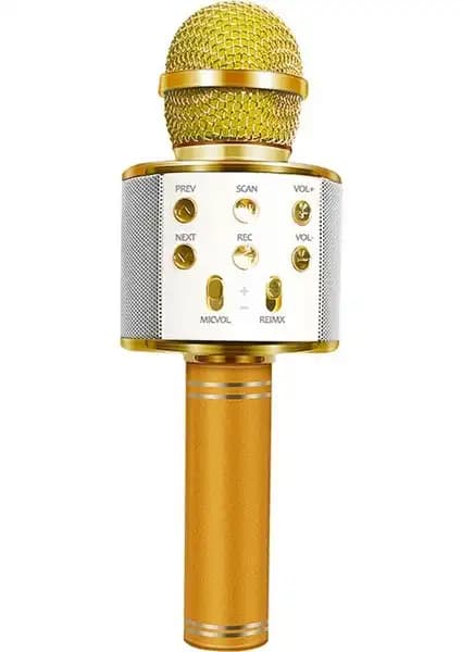 Blüpple WS-858 ve Tatu Handheld Ktv Karaoke Mikrofon Karşılaştırması 2