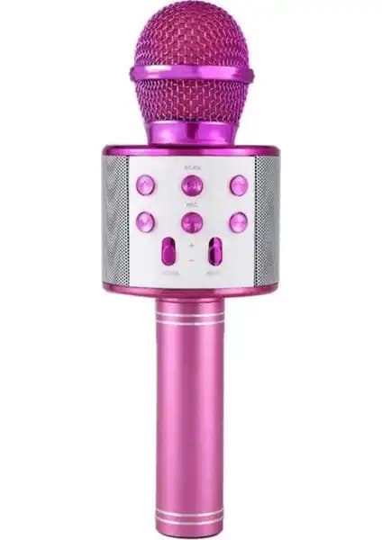 Blupple WS-858 ve Tatu Handheld Ktv Mikrofonları Karşılaştırması 1
