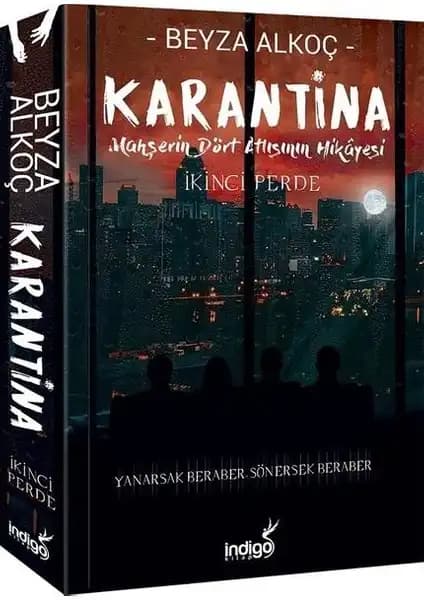 İndigo Kitap Beyza Alkoç Eserleri Karşılaştırması ve Detaylı İnceleme 1