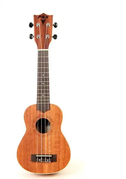 Phx UKP-21NA ve Rosa RU002-BK Soprano Ukulele Karşılaştırması 1