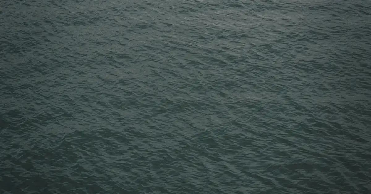 Nautica Home ile Deniz Temalı ve Modern Dekorasyon Ürünleriyle Evinizi Yenileyin