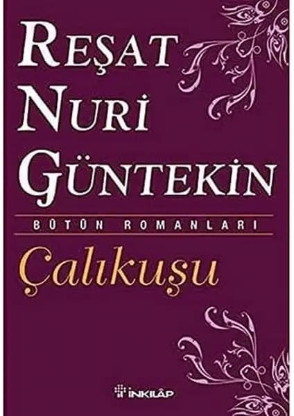Bülbülü Öldürmek ve Çalıkuşu Romanlarının Karşılaştırmalı Analizi 2