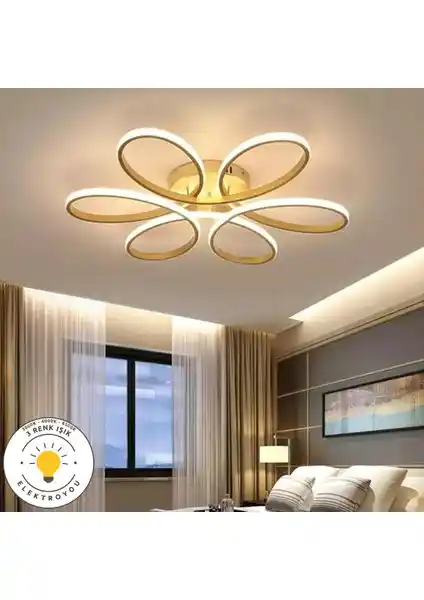 Elektroyou Nipul Eskitme ve Robin 3'lü Beyaz Ledli Modern Avize Karşılaştırması