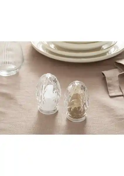 Peggy Cam 2'li Tuzluk ve Biberlik Seti Şeffaf Cam Malzeme ile Modern Mutfak Dekorasyonu