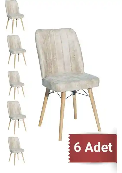Yafes Kare Gold 6'lı Modern Mutfak Sandalyesi Dayanıklı ve Şık Tasarım