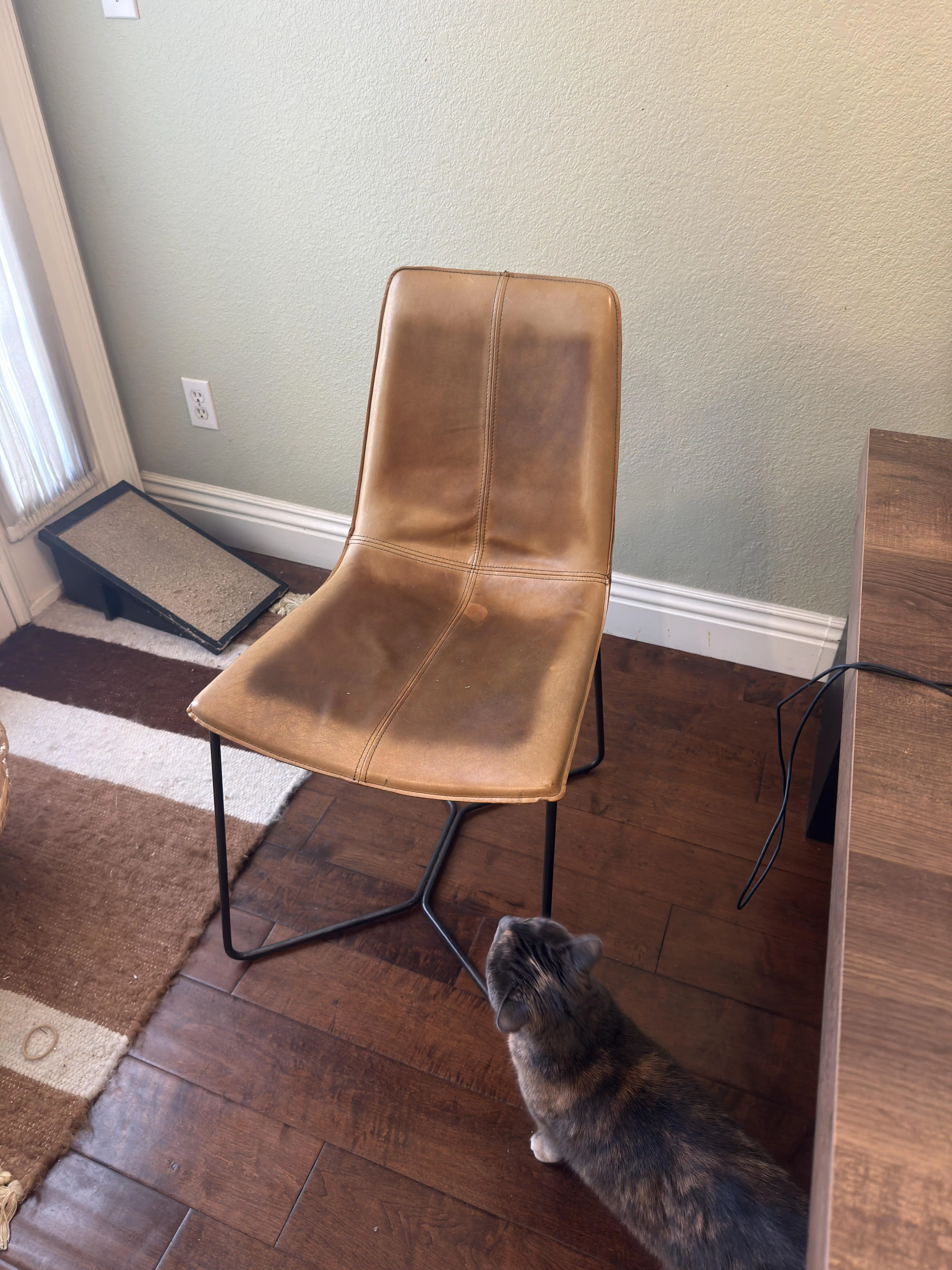 Anilin Deri Mobilyaların Temizliği, Nemlendirilmesi ve Renk Eşitleme Yöntemleri