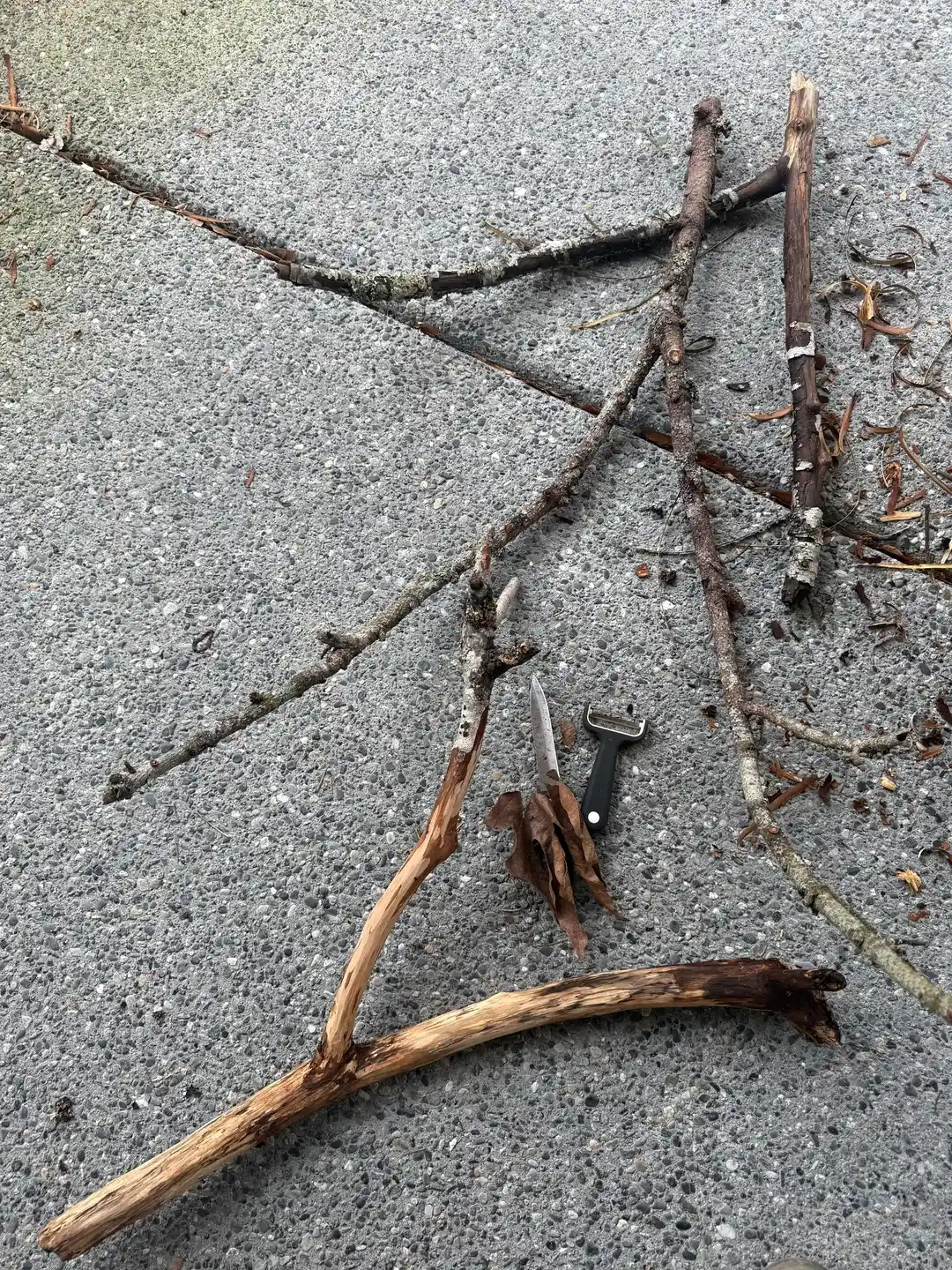 Sanat İçin Dal Soyma İşlemi: Araçlar, Teknikler ve İş Güvenliği Önerileri