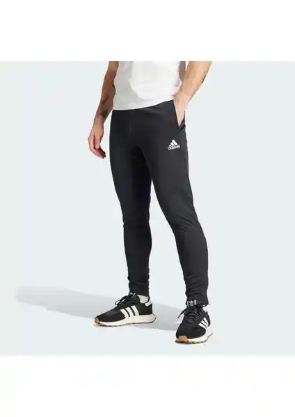 Adidas Performance HC0332 Entrada 22 Antrenman Taytı İncelemesi ve Özellikleri
