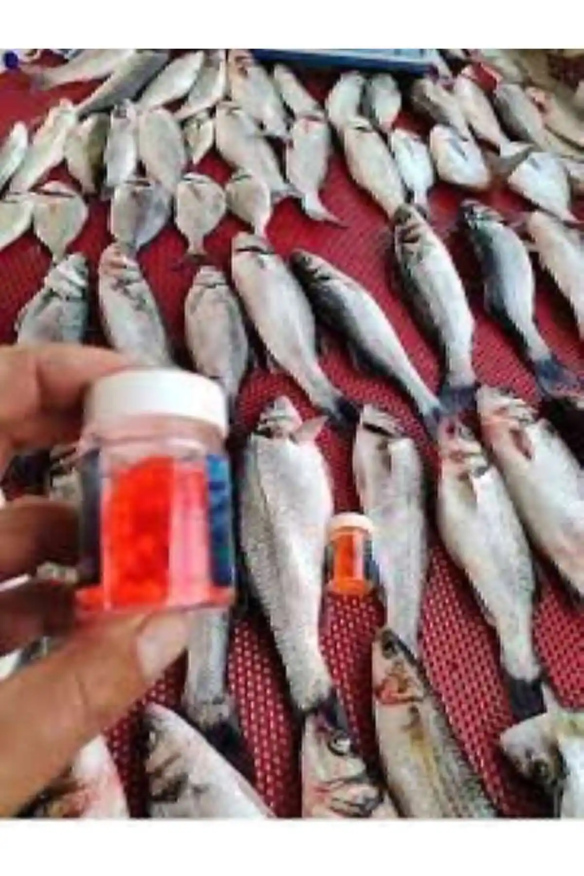 RENAT CARP silikon balık yemleri: dayanıklı ve parlak renkli balık tutma ürünleri