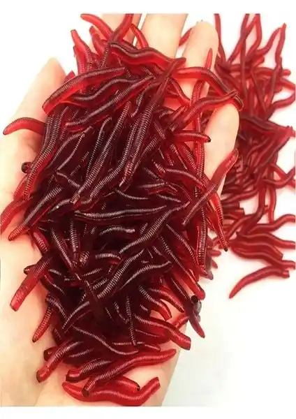 Ardeppo 25 Adet Kokulu Silikon Balık Yemi: Gerçekçi ve Etkili Balıkçılık Deneyimi