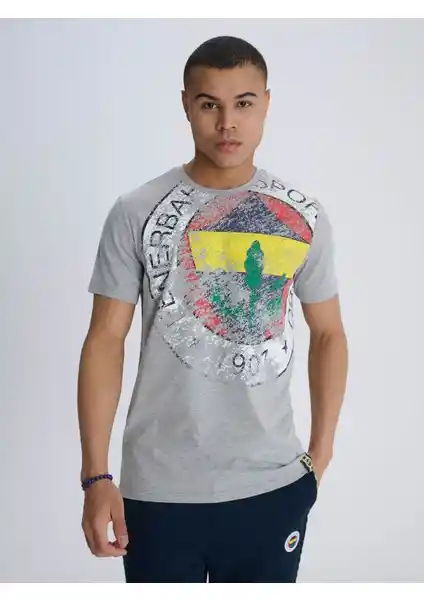 Fenerbahçe Erkek Tribün Gri 6 Renk Logolu Tişört Spor ve Taraftar Tutkusunun Simgesi