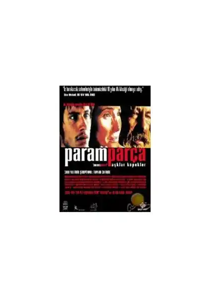 Amores Perros Filmi: Meksika Sinemasının Çarpıcı ve Derin Hikâye Anlatımı