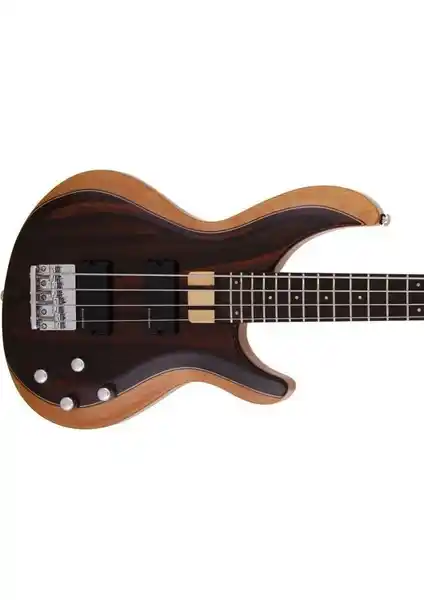 Aria Igbrosıe Bas Gitar: Yüksek Kalite ve Dayanıklılık Sunan Profesyonel Enstrüman