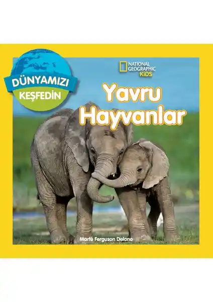 Beta Kids National Geographic Kids Serisi Yavru Hayvanlar Hakkında Eğitici ve Eğlenceli Kitap