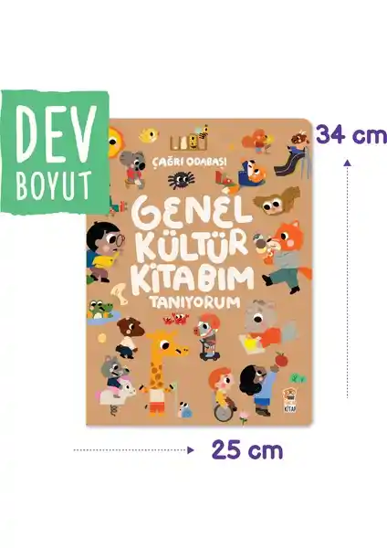 Çocuklar İçin Zengin ve Eğlenceli Genel Kültür Kitapları Tanıtımı ve Özellikleri