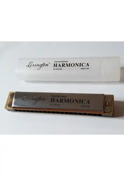 Cremonia Lexington Hm0120 Mızıka: Profesyonel ve Dayanıklı Harmonika Modeli Analizi