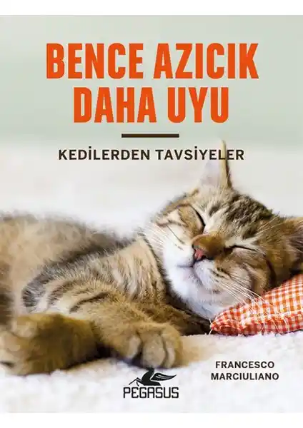 Kedilerden Alınan Bilgelik ve Cesaret: Yaşam Tavsiyeleri ve Felsefeleri