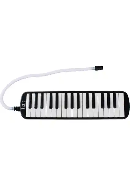 Melodika: Başlangıç Seviyesi Müzik Eğitimi ve Eğlence İçin Uygun Enstrüman
