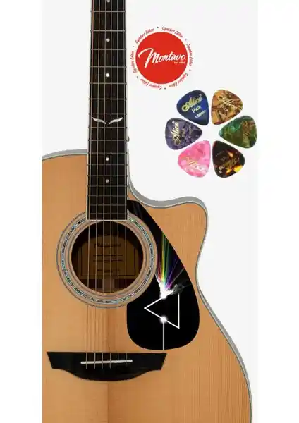 Salvador 6'lı Gitar Penası ve Pena Korumalığı Seti: Çok Yönlü Gitar Aksesuarları