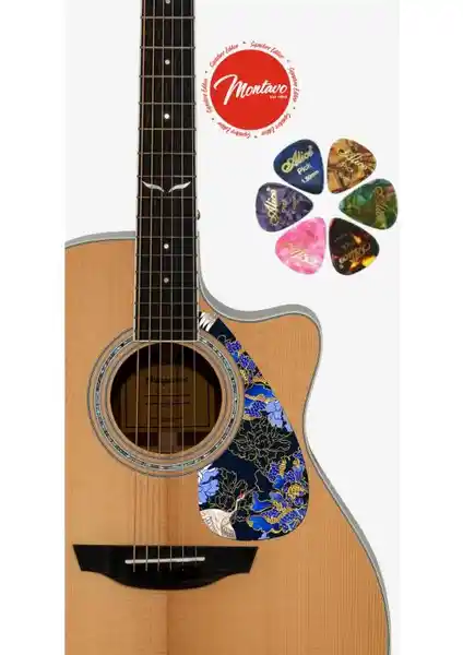 Salvador 6'lı Gitar Penası ve Pena Korumalığı Seti Performans ve Koruma Sunar