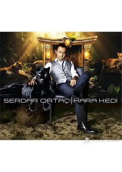 Serdar Ortaç'ın Kara Kedi Albümü Türk Pop Müziğine Yenilikçi Bir Katkı Sunuyor