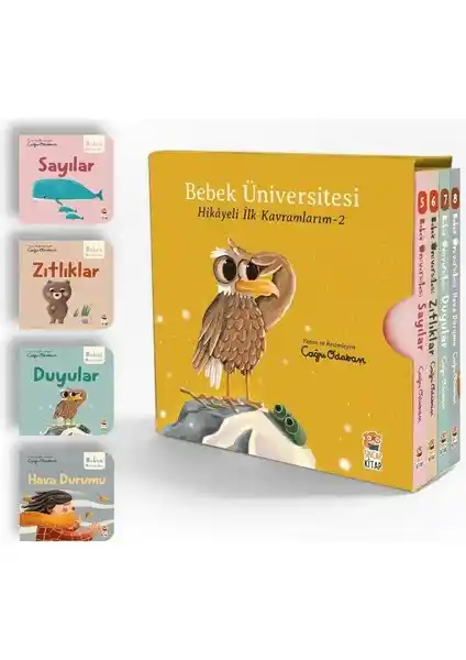 Sincap Kitap Bebek Üniversitesi Seti 2 ile Erken Çocuklukta Temel Kavramlar ve Hayal Gücü Gelişimi