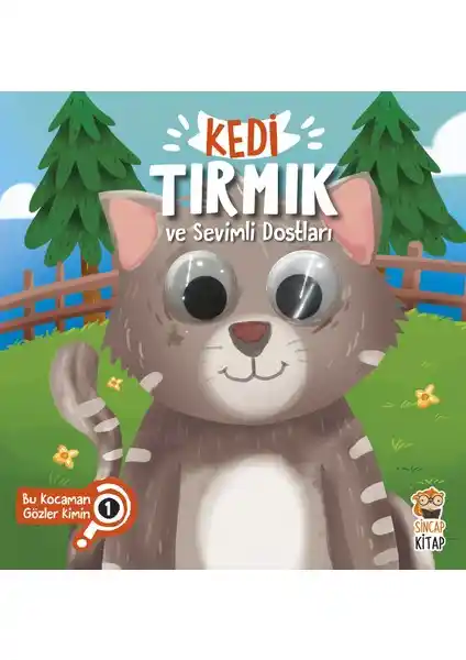 Sincap Kitap Serisi: Çocuklar İçin Eğlenceli ve Eğitici Hikayelerle Dolu Renkli Kitaplar