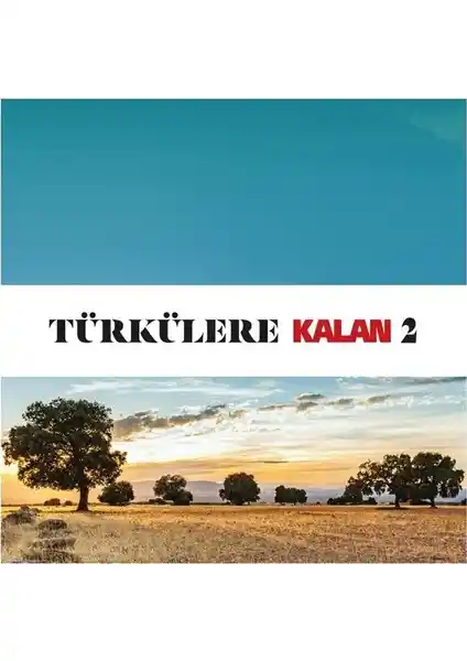 Türkülere Kalan 2 Türk Müziği Derlemesi Anadolu'nun Zengin Müzik Geleneği
