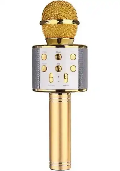 Wster WS-858 Gold Bluetooth Karaoke Mikrofonu İncelemesi ve Kullanıcı Yorumları