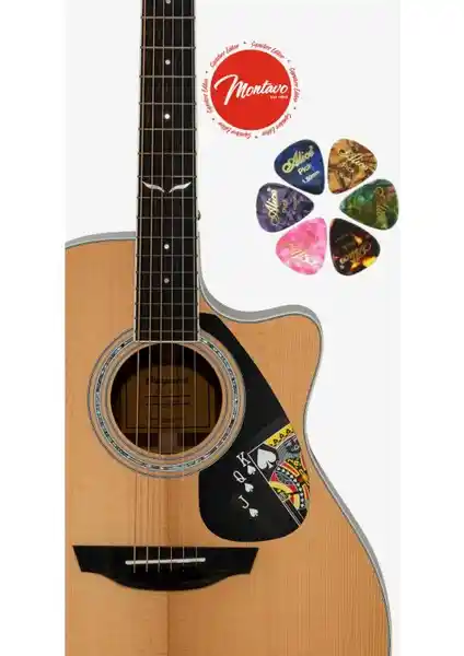 Yanıklar Müzik 6'lı Gitar Penası ve Koruma Seti ile Çalma Deneyiminizi Geliştirin