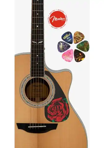 Yanıklar Müzik 6'lı Gitar Penası ve Pena Korumalığı Seti: Çok Yönlü ve Estetik Gitar Aksesuarları