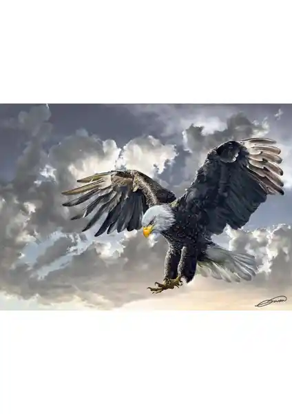 Art Puzzle Siyah Beyaz Kartal Puzzle 500 Parça Detaylı ve Gerçekçi Tasarım