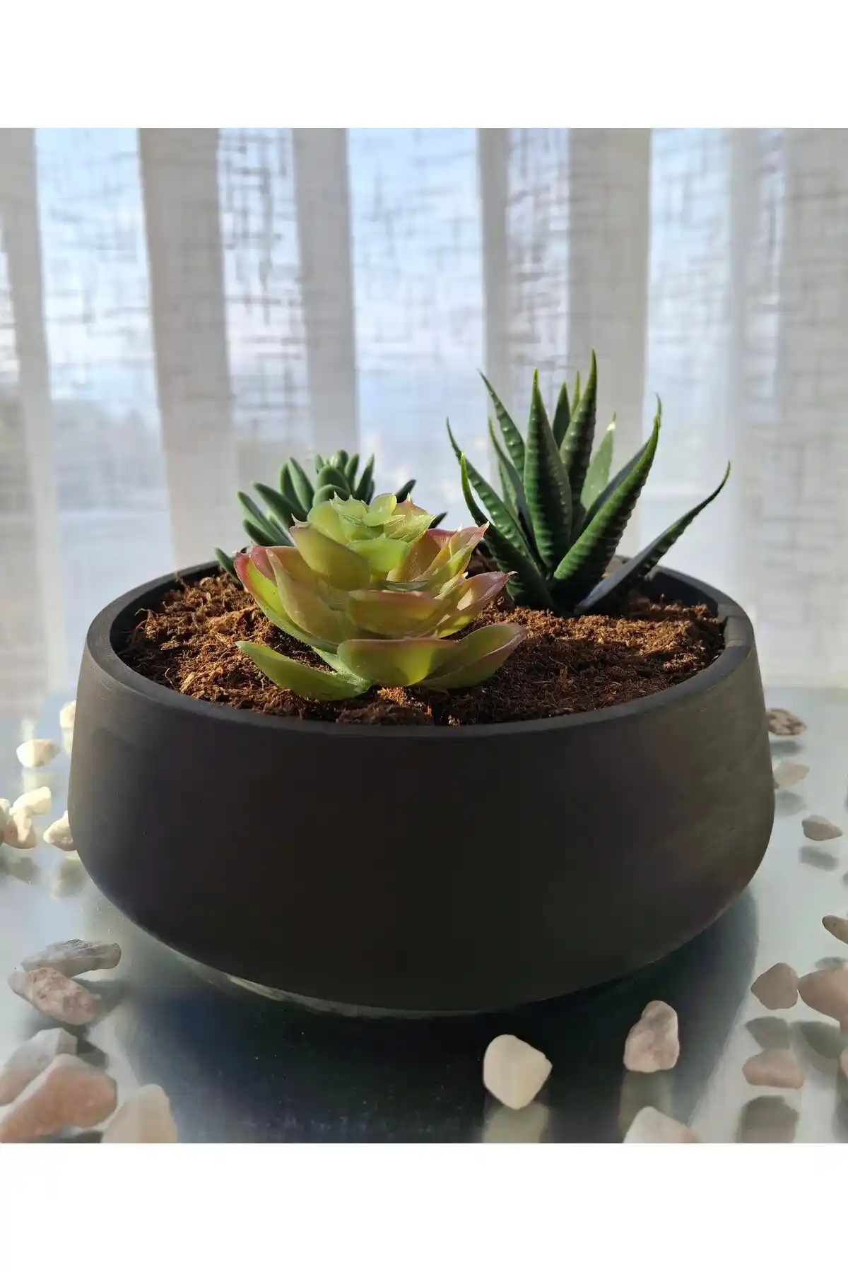 Çoklu Sukulent Saksıları: Tasarım, Malzeme ve Fonksiyonellik Üzerine Kapsamlı İnceleme