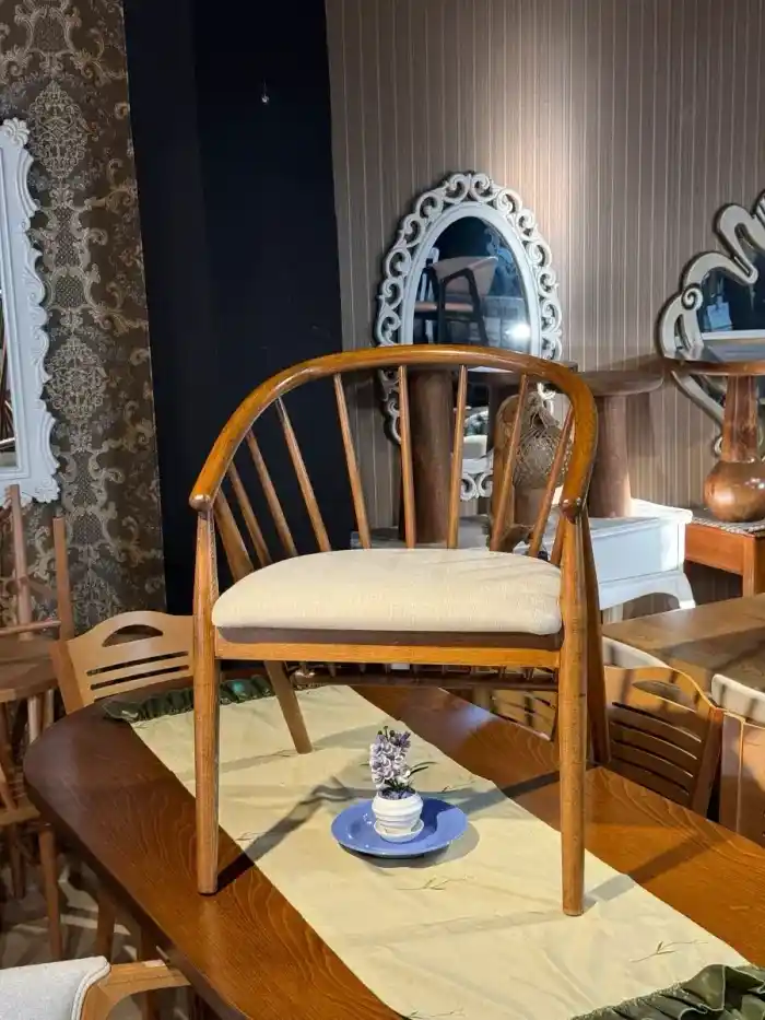 Omurga Sandalyesi Hakkında Arama Sonuçları ve Bilgi Eksikliği Analizi