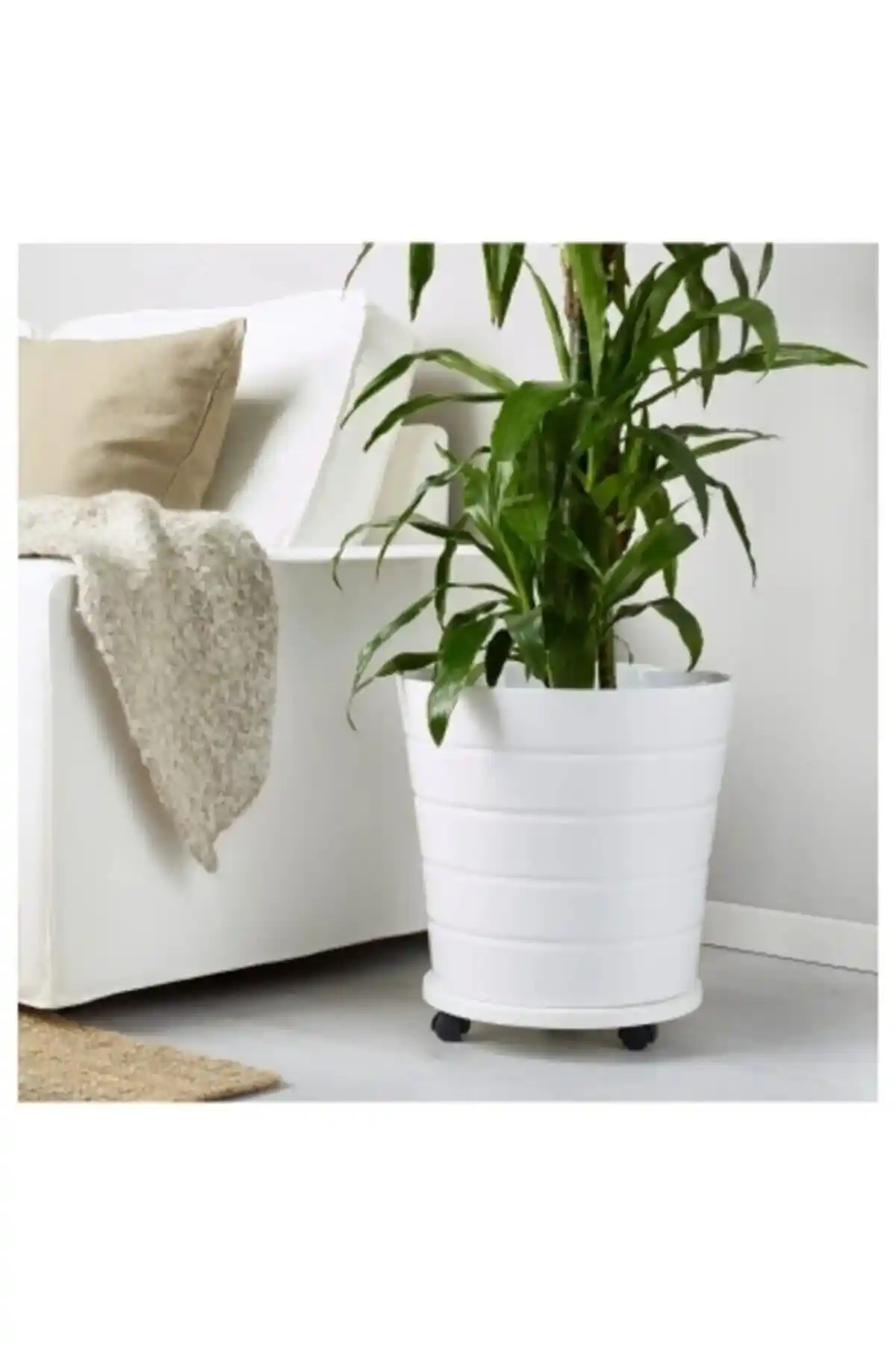 Berra Ahşap Tekerlekli Damacana ve Çiçeklik Altlığı ile Modern Mekanlar Yaratın