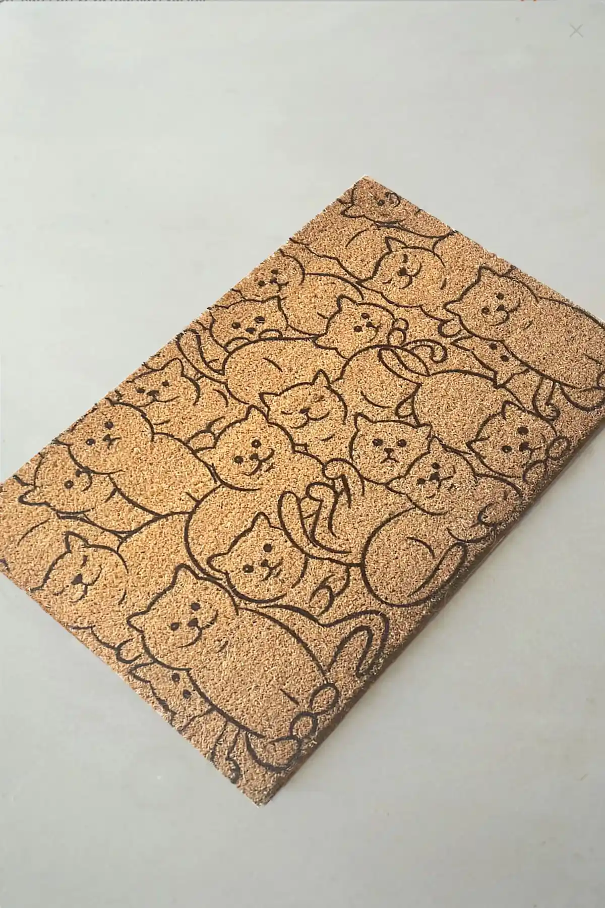 Chilai Home Coco Galia 40x60 Cm Çok Renkli Doğal Hindistan Cevizi İpli Paspası