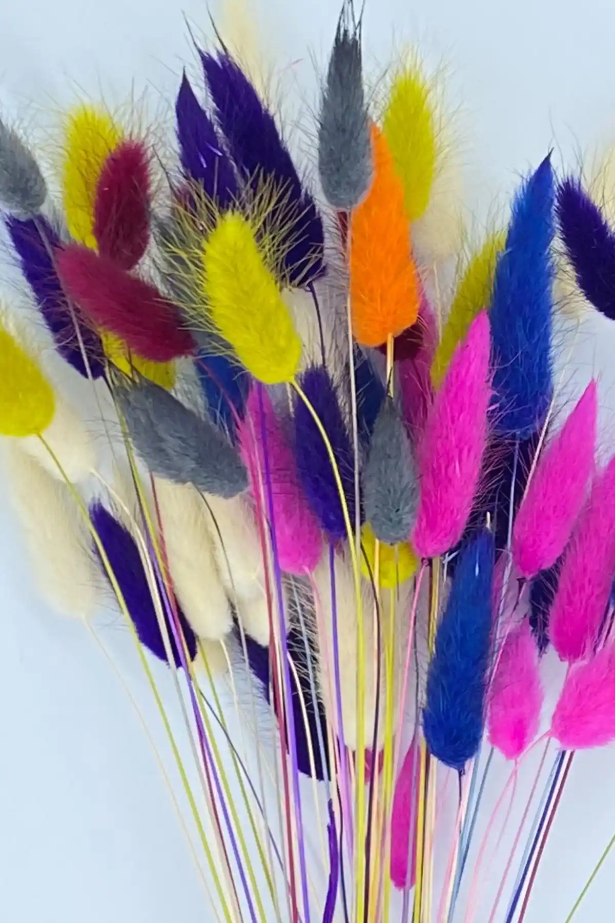 Goya Home Karışık Renkli Kurutulmuş Çiçekler ve Tavşan Kuyruğu Aranjmanı