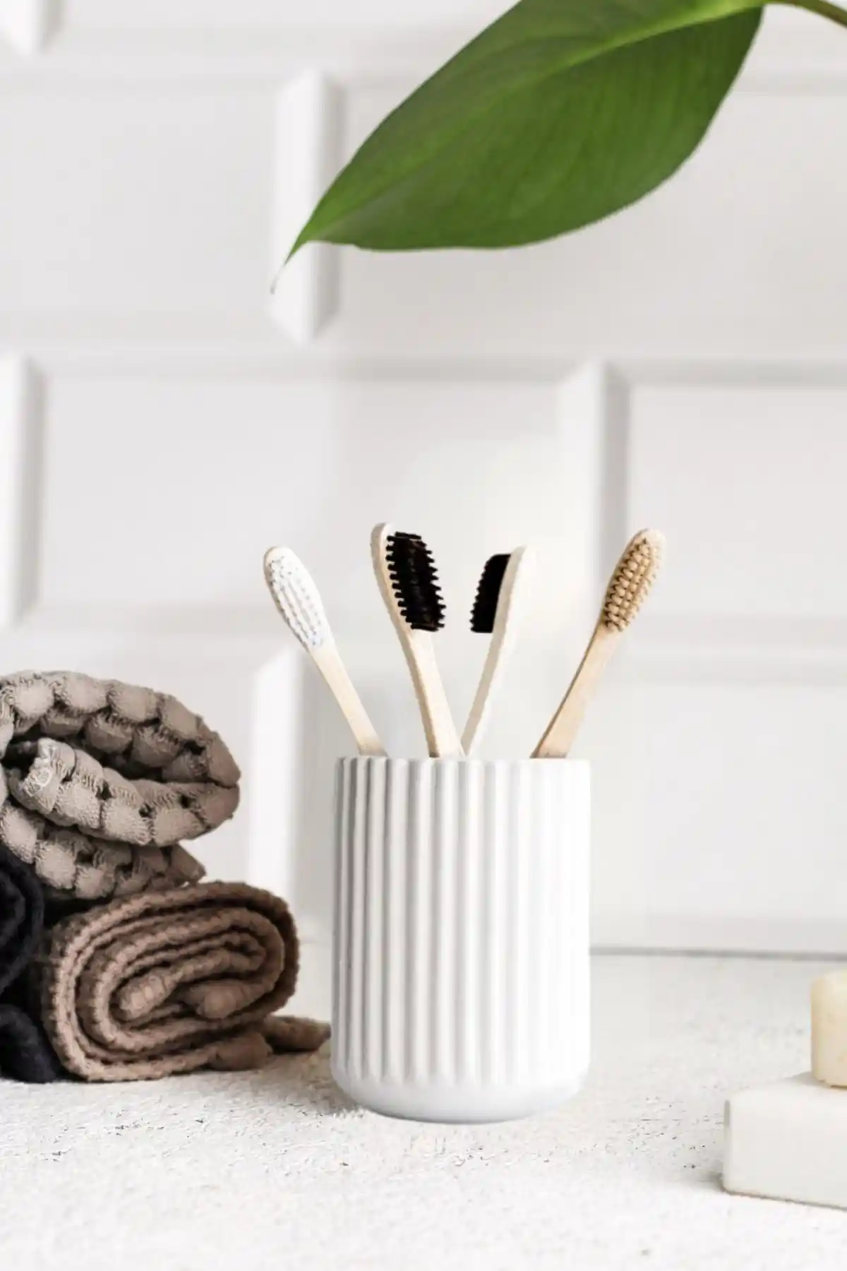 LALEZEN HOME ve Poomy Diş Fırçalıkları Karşılaştırması: Hangi Ürün Daha Uygun