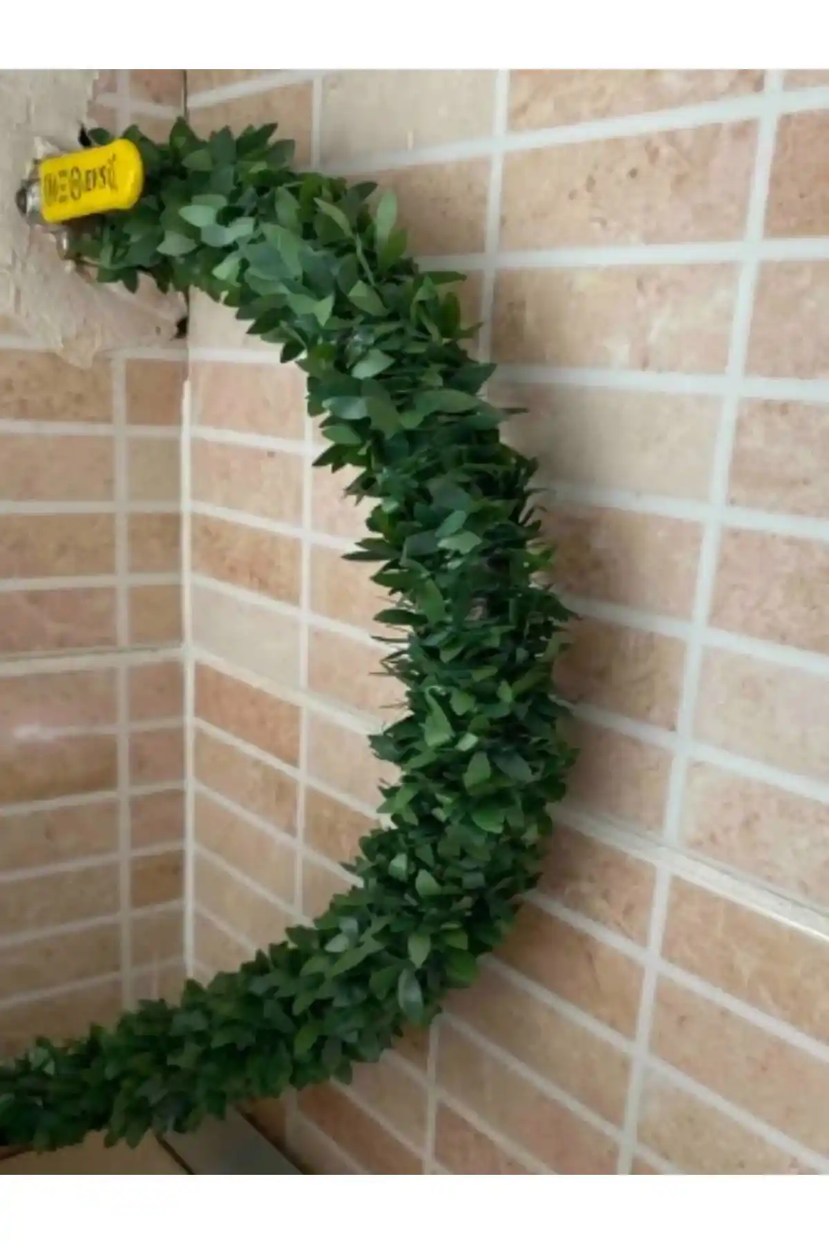 OGWANTO ve tml temalife ürünlerinin detaylı karşılaştırması ve kullanım alanları