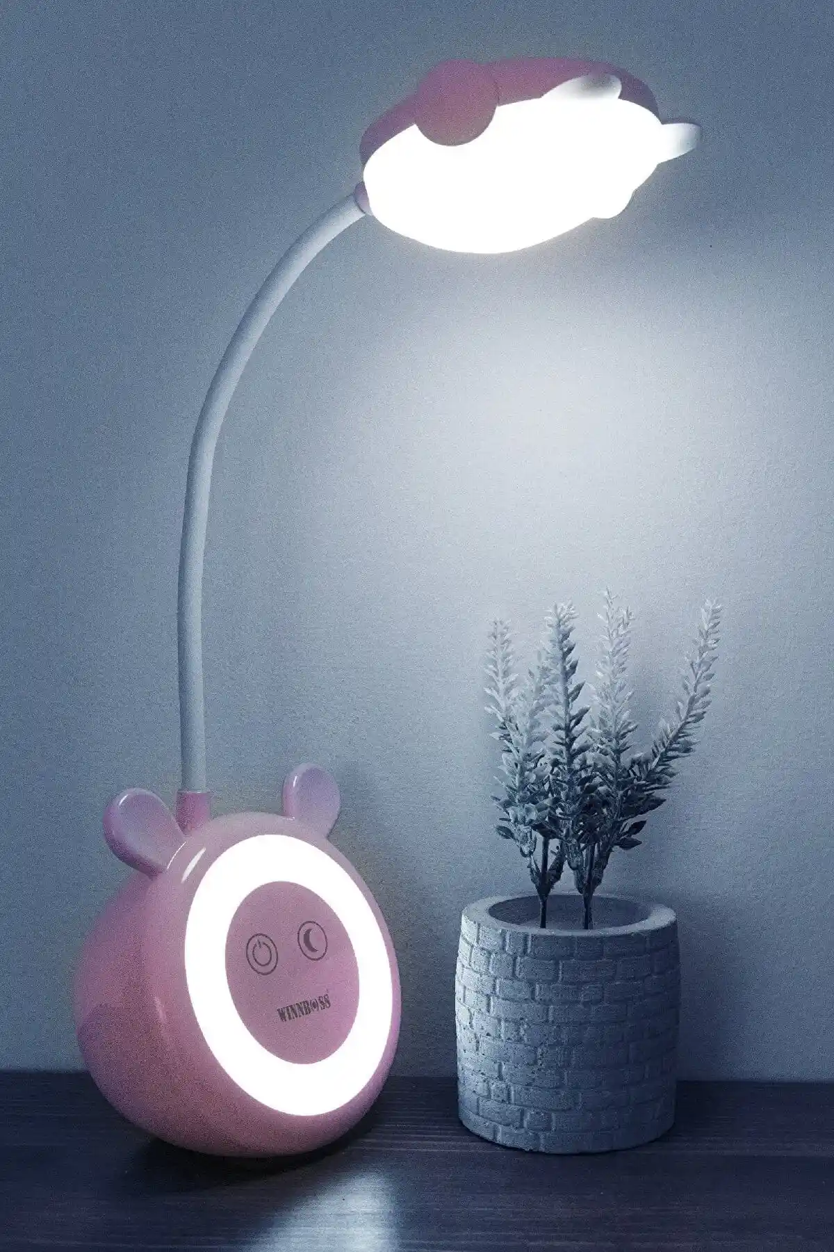 Protonust 3 Renk Şarjlı Dokunmatik Gece Modlu Çocuk Odası ve Çalışma Masası Lambası