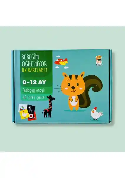 Bebekler İçin Gelişim Destekleyici İlk Kartlar Seti Bebek Öğreniyor İçin Güçlü Eğitim Aracı