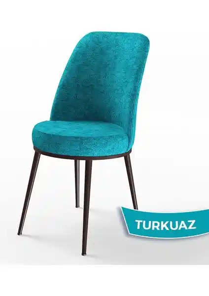 Canisa Concept Dexa ve Pefa Serisi Sandalyelerin Detaylı Karşılaştırması