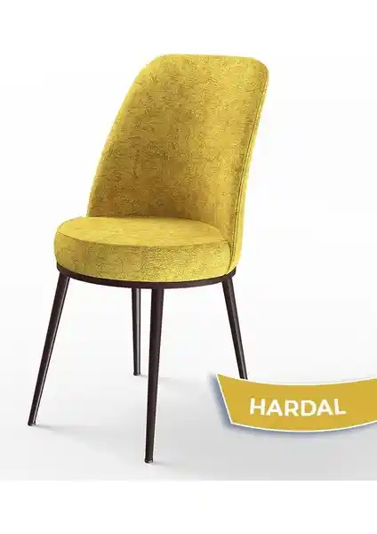 Canisa Dexa ve Pefa Serisi Mutfak Sandalyeleri Karşılaştırması ve Özellikleri