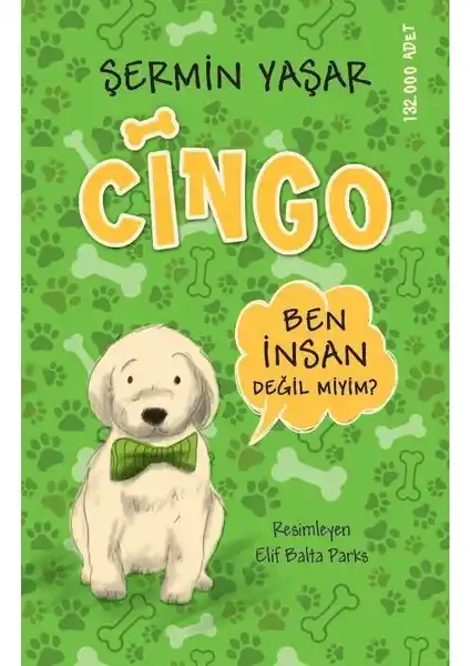 Cingo Kitabı İncelemesi: Çocukların Gelişimine Katkı Sağlayan Eğitici Hikaye