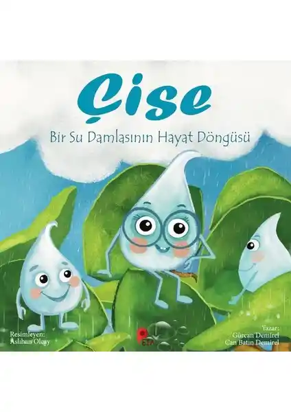 Çise: Bir Su Damlasının Hayat Hikayesi çocuklar için eğitici ve görsel zenginlik sunan bir hikaye kitabı